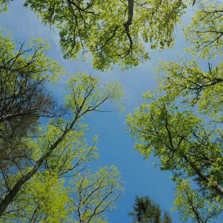 Neue Perspektiven und mentale Klarheit während der Gewichtsreduktion finden.