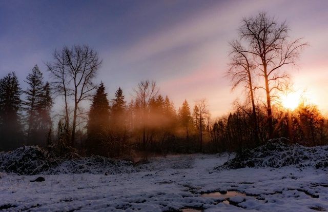 Verschneite Winterlandschaft mit kahlen Bäumen im Sonnenuntergang – Symbol für Ruhe und Reflexion für die Winterimpulse zum neuen Jahr.